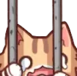 Jailcat Jailcat