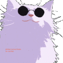 cat_gojo