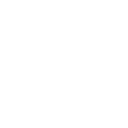 8297whiteskull