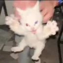 car_unhandme
