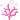 y_pink_coral