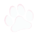 001_paw14