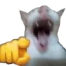WAJAJA