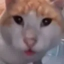 what