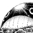 BlackWhale