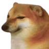 doggoSAD