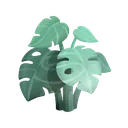 fsc_monstera