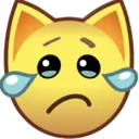 cry_cat