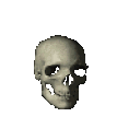 FH_Spinning_Skull
