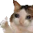 GoodButBad