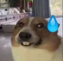 uhhh uhhh