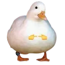 DuckPlz