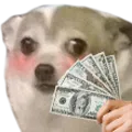 moneys