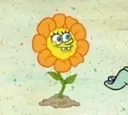 flowerbob