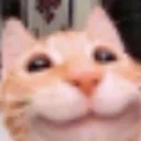 happycat