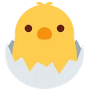 kewlchikn kewlchikn