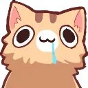 Derpcat