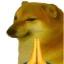 cheemspray