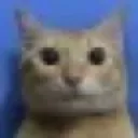 fri