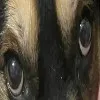Long_george_1