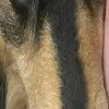 long_george_2