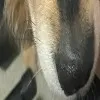 long_george_3