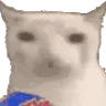a_cat_eat_chips