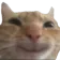 hehe