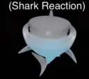 SharkReaction
