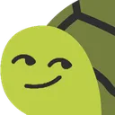 turtlesmirk