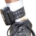 anklemonitor