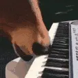 SCpianohorse