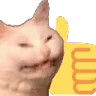 echthumbsup