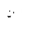 siru