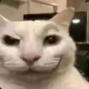 smircanny