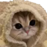 catcomfy