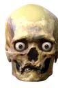 skull46