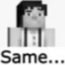 text_same