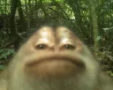 heh heh