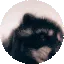 pedro