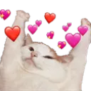 cat_hearts_ji
