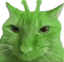 aliencat_stinker