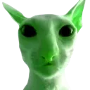glorp glorp