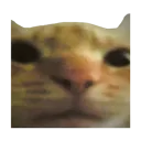 emoji_14