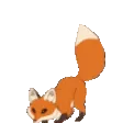 FoxJump FoxJump