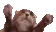 clapi