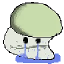 sadmush sadmush