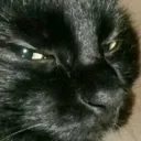 suspicious suspicious