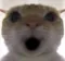 66