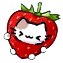 i_beamberry